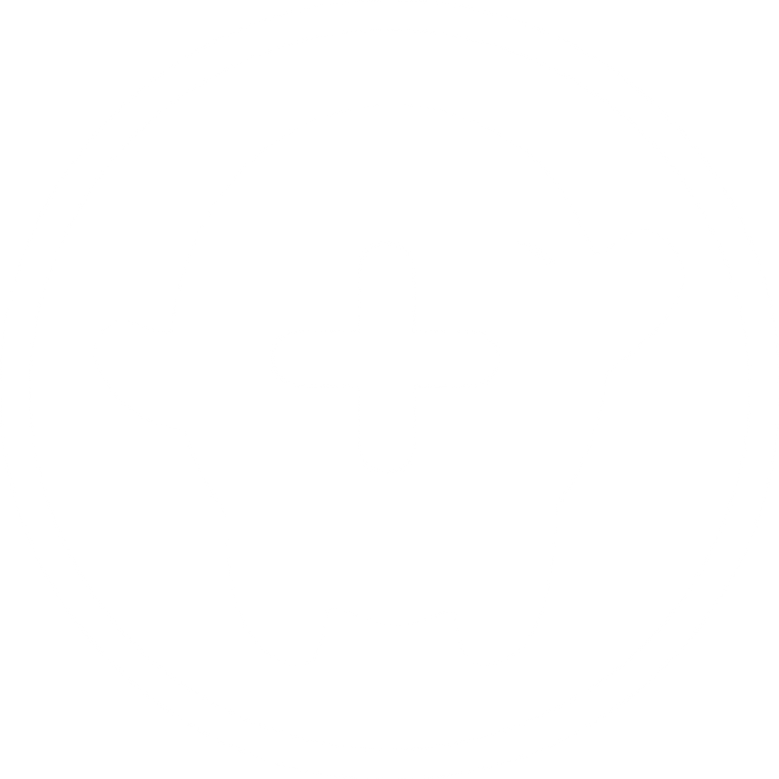 cactus foundation.png